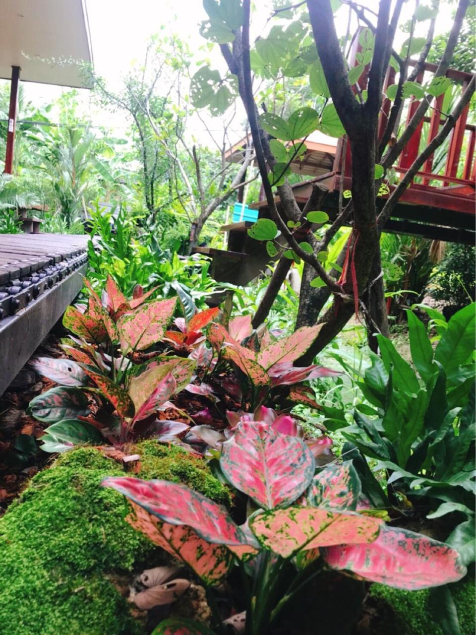 88 Homestay Bang Chak Exterior foto
