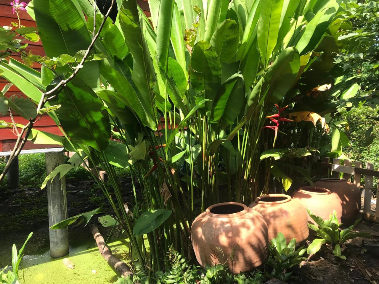 88 Homestay Bang Chak Exterior foto